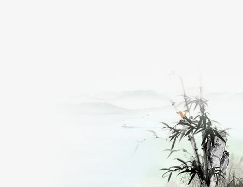 迟来的爱歌词创作背景